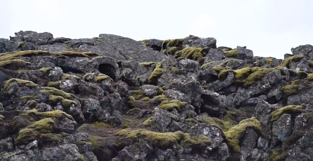 Iceland's Volcanic Zones Experience Ongoing Earthquake Swarm