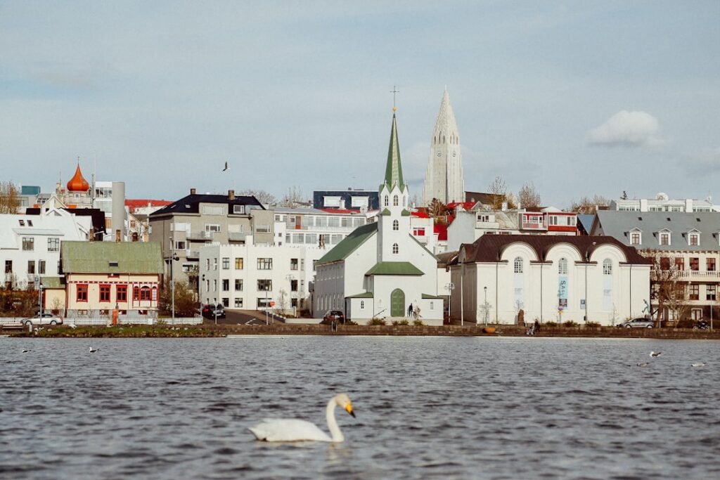 Reykjavík Private Food & Drink Walking Tour