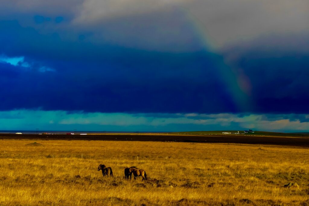 The Ultimate North Iceland Travel Itinerary