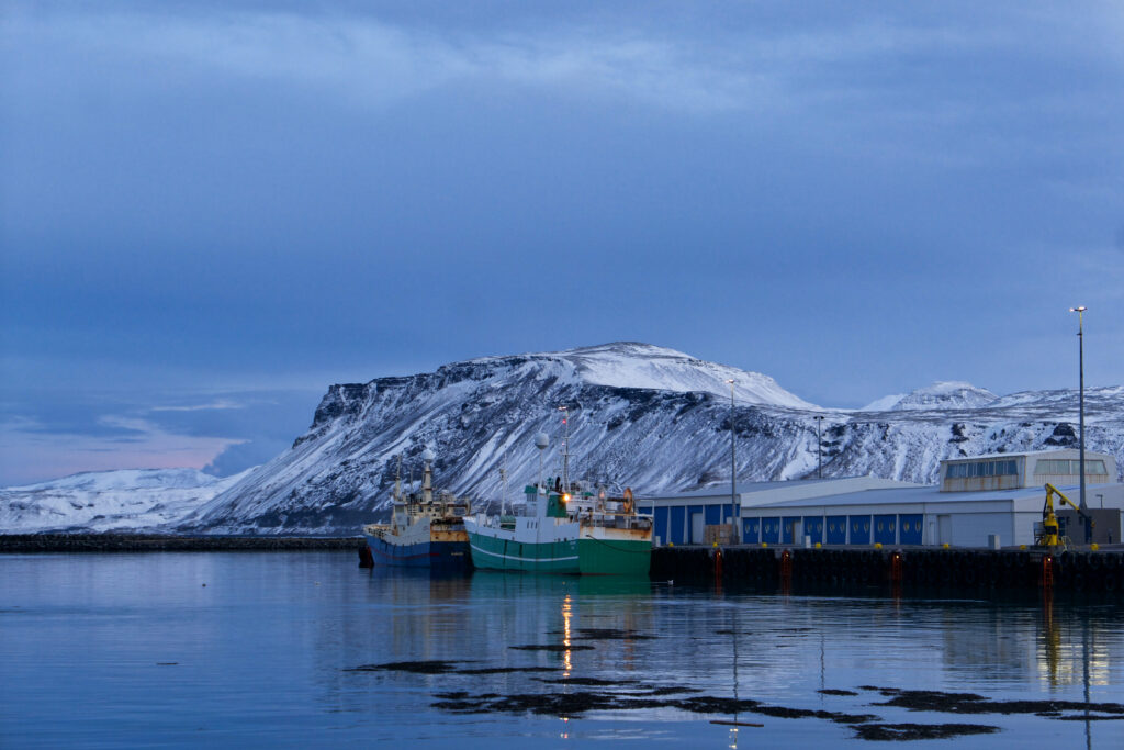Tips for Safe Driving in Iceland