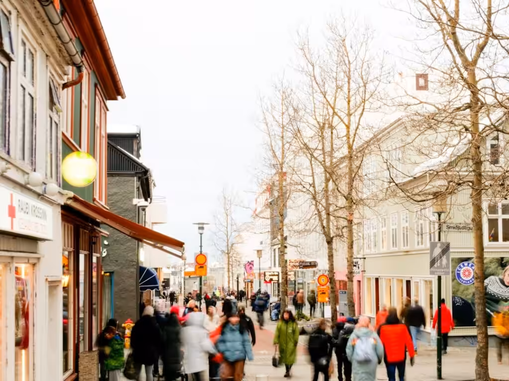 Top Hotels in Downtown Reykjavik