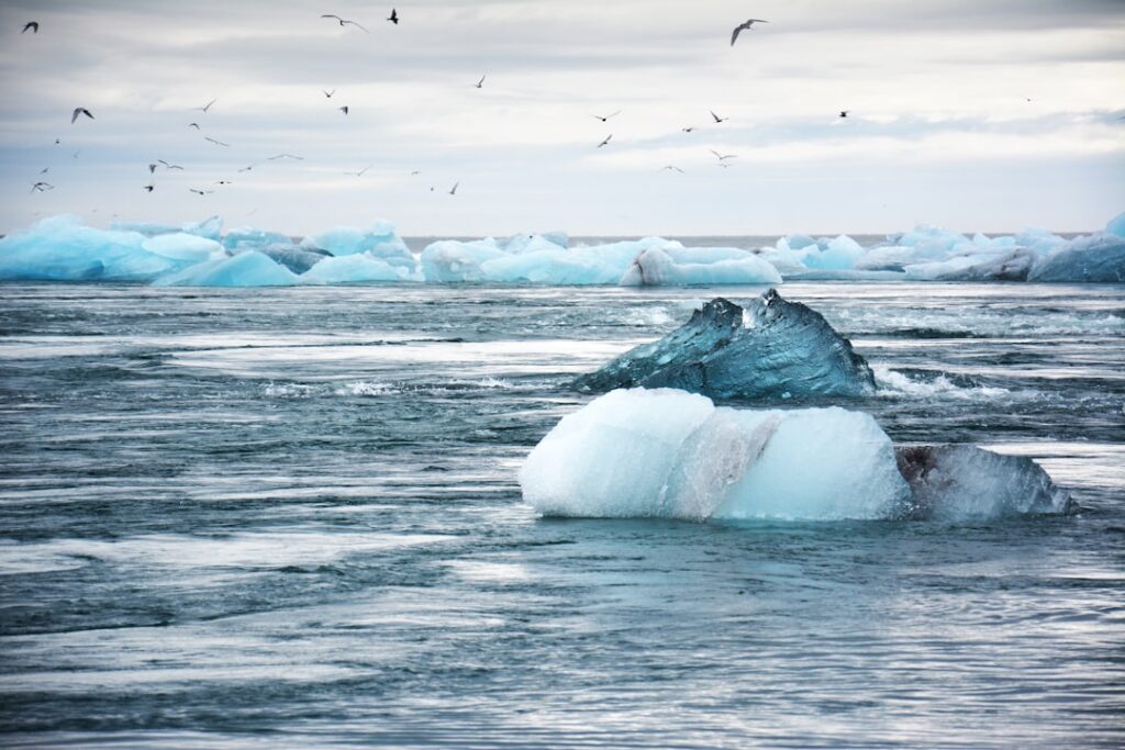 Global Cryosphere Watch — Iceland is a member of the WMO through its status as a United Nations member…