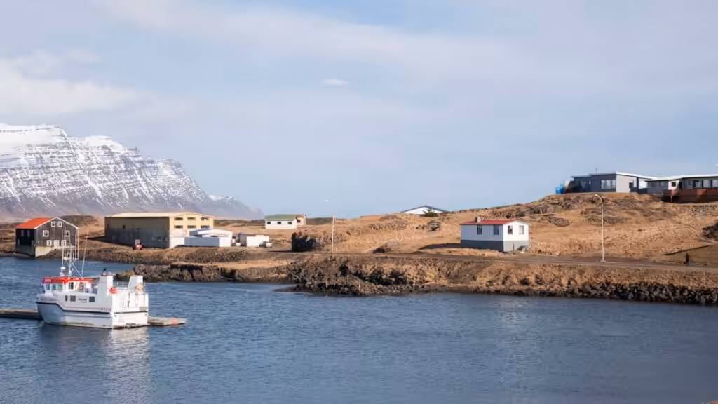 Bandero Iceland — International visitors interested in Iceland's whaling debate — a topic that…