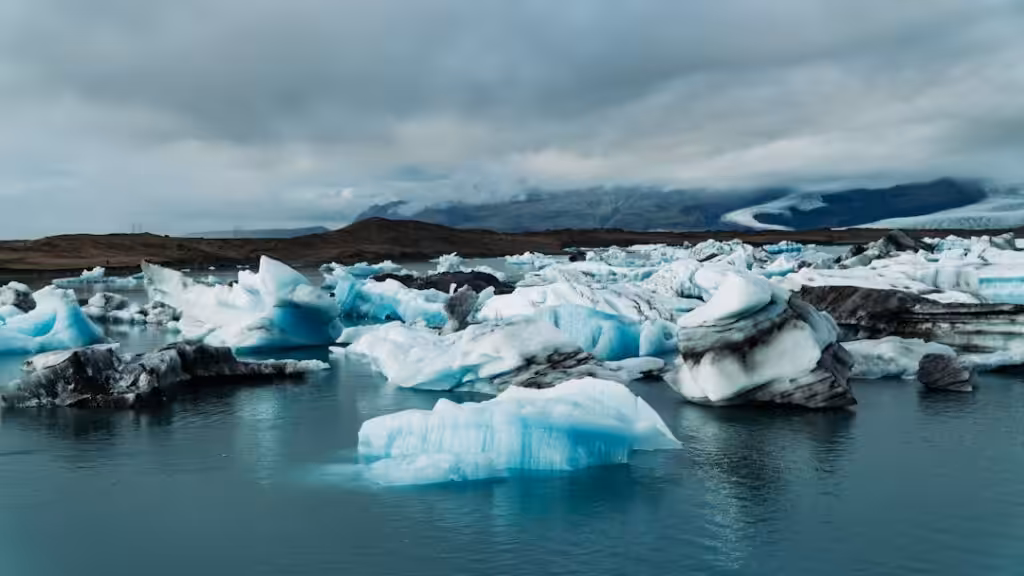 Iceland food prices — Several forces converged to push Iceland food prices lower in 2025.