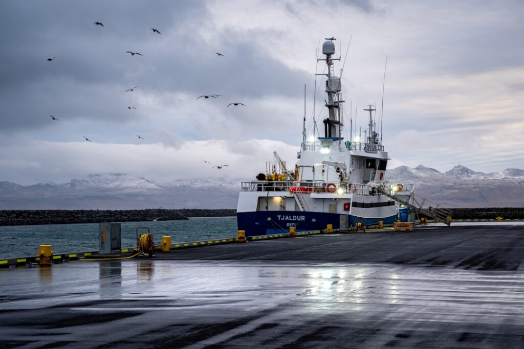 Kársnes homicide — Lögreglan has not publicly confirmed a direct connection between the…