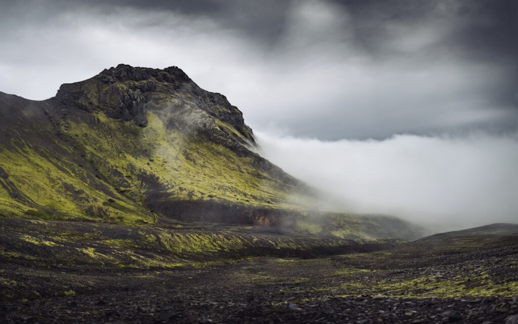 Kársnes homicide — Given Iceland's low baseline crime rate, the case is expected to receive…